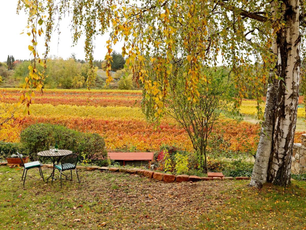 Apartment Am Weinberg By Interhome Bad Dürkheim Eksteriør bilde